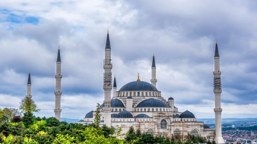 Istanbul: City Hightlights Bus Tour and Bosphorus Cruise - The Finale, Bosphorus Cruise: Tea, WiFi, and Two Hours of Breathing Room