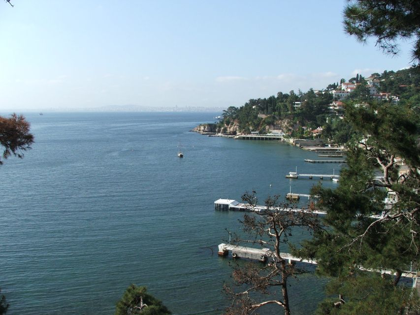 Istanbul: Day Trip to the Princes' Islands - Key things to know before you go