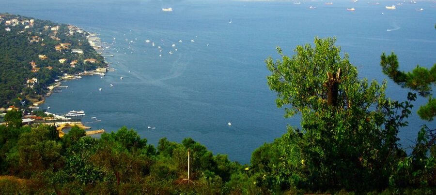 Istanbul: Day Trip to the Princes' Islands - A 6-hour Princes Islands reset from Istanbul
