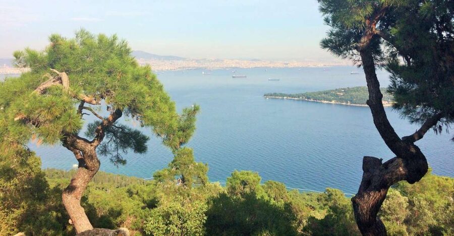 Istanbul: Day Trip to the Princes' Islands - Cruise across the Marmara Sea toward Büyükada