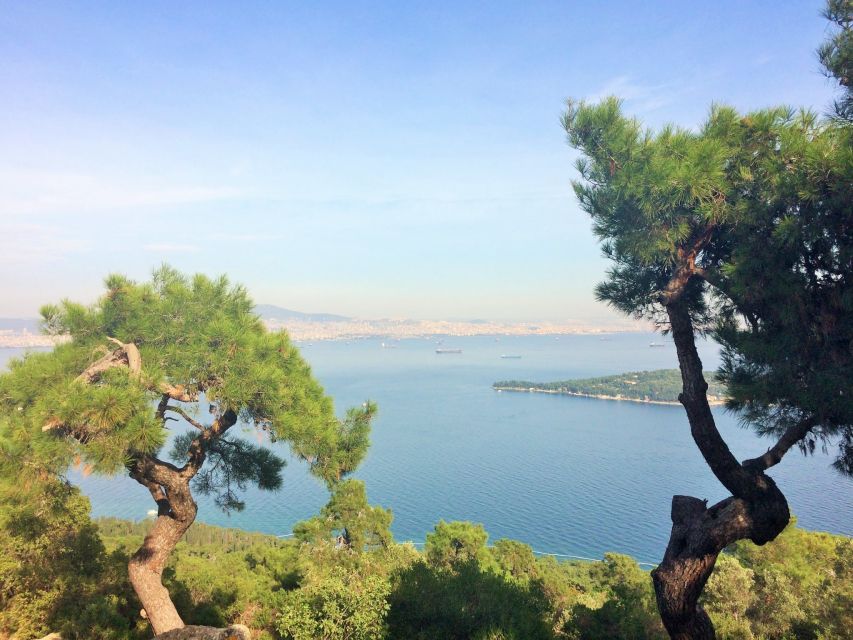 Istanbul: Day Trip to the Princes' Islands - Pickup from Taksim, Sultanahmet, Beyoglu, and the rest
