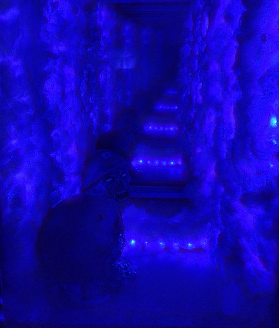 İstanbul: Frankenstein House of Horror, Escape Room Game - Should you book Frankenstein House of Horror?