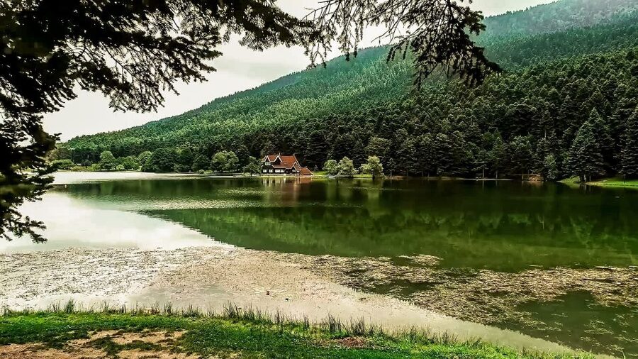 Istanbul: Full-Day Sapanca Lake and Masukiye Tour with Lunch - Key points to know before you go