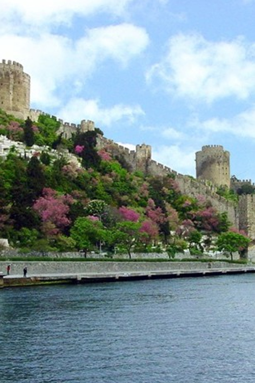 Istanbul Half-Day Tour and Bosphorus Cruise - Maiden’s Tower and a Boat-View Mindset for Istanbul