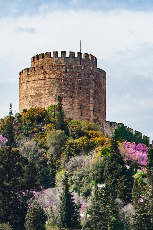 Istanbul: Morning or Sunset Cruise with Guide and Snacks - The guided route along the palaces and neighborhoods: Dolmabahçe to Ortaköy to Çırağan