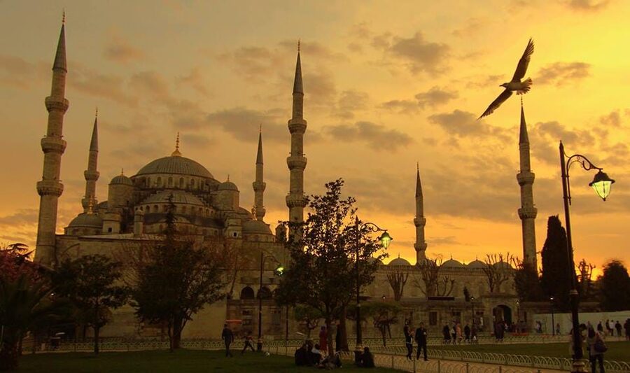 Istanbul: Old City Full-Day Tour -(Entry Fees Inculucing) - Topkapı Palace: Sultans, Porcelain, and the Extra-Fee Reality