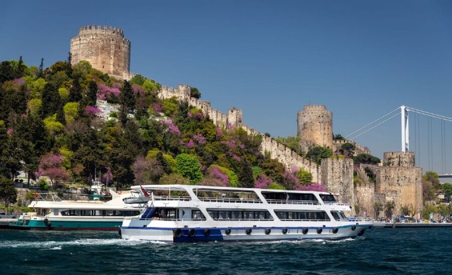 Istanbul: Old Town Tour and Bosphorus Lunch Cruise - What You See From the Water: Palaces, Mosques, Bridges, and Forts