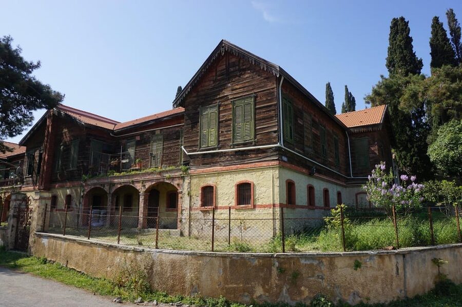 Istanbul Princes island Tour visiting 2 island - Büyükada: electric car option, lunch at a seafood spot, and free time