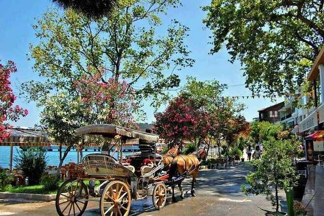 Istanbul Princes Island Tour with Lunch & Hotel Transfer - Key highlights you should know before you go