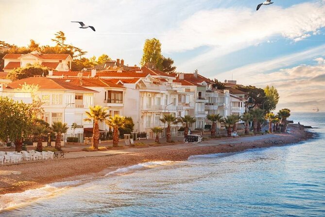 Istanbul Princes Island Tour with Lunch & Hotel Transfer - Lunch on the boat: open-buffet carbs and a busy timetable