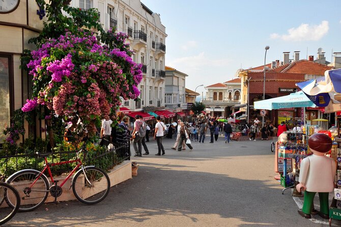 Istanbul Princes Island Tour with Lunch & Hotel Transfer - Getting there: Ahırkapı meeting point, 9:00 start, and Istanbul traffic