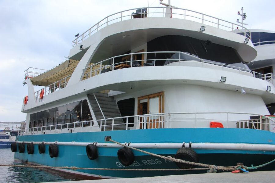 Istanbul: Princes' Islands Cruise w/Music, Lunch & Transfer - Swimming and That Quiet Island Reset