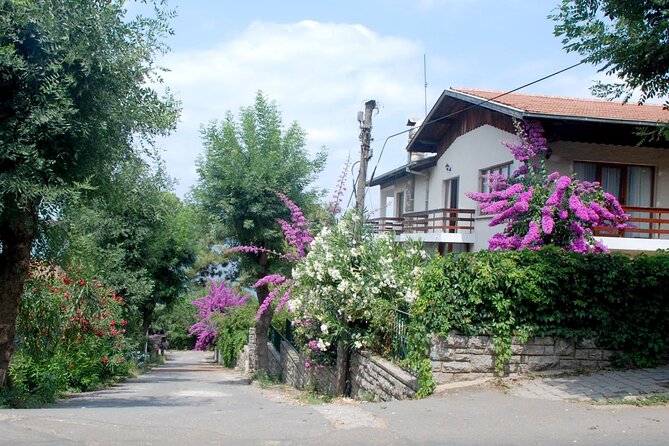 Istanbul: Princes Islands Tour with Heybeliada and Buyukada - Coach ride plus a long ferry: where the day’s best calm starts