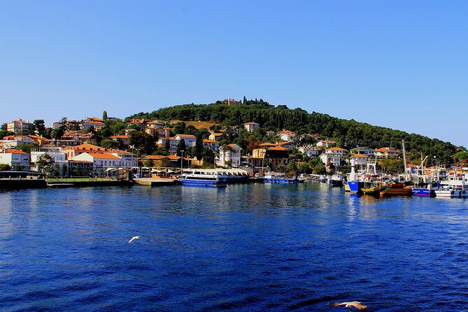 Istanbul: Princes Islands Tour with Heybeliada and Buyukada - Büyükada: mansions, viewpoints, optional rides, and the best use of your time