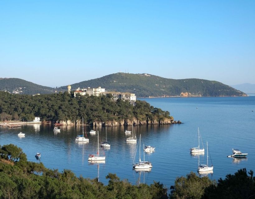 Istanbul: Princes' Islands Tour with Lunch and Transfers - The Shopping Window and the Leather Goods Fashion Show Detour