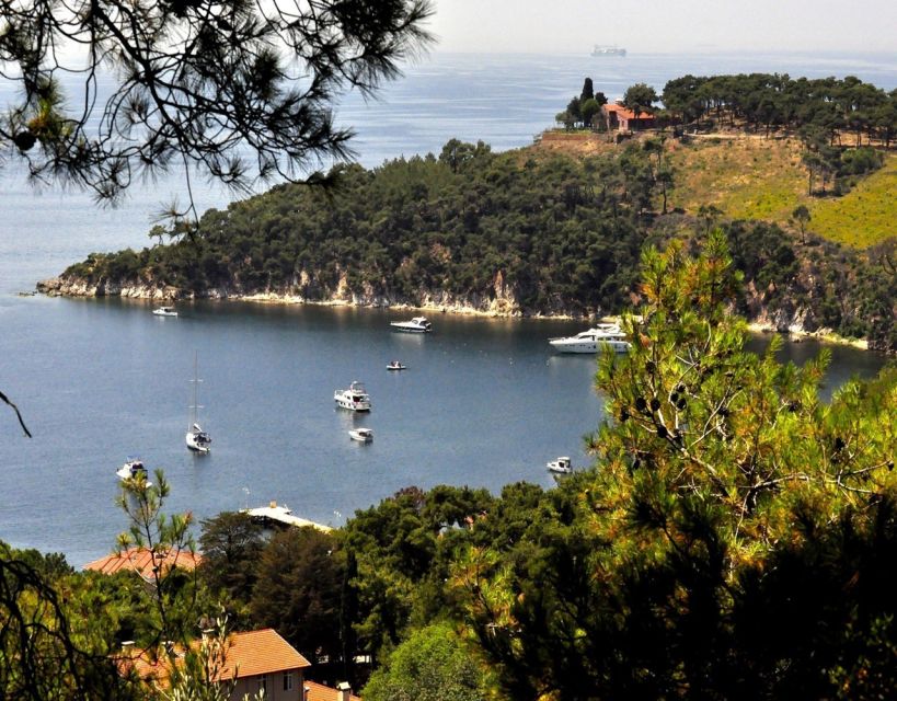 Istanbul: Princes' Islands Tour with Lunch and Transfers - Price and Logistics: Why $29 Can Work, and Where It May Fall Short