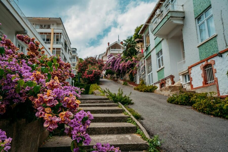 Istanbul: Princes Islands Walking Full-Day Tour - Key highlights to look for