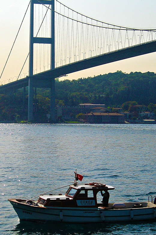 Istanbul: Princes Islands Walking Full-Day Tour - Should you book this Istanbul Princes Islands walking tour?