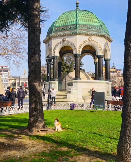 Istanbul Private City Tour By Art Historian - How the tour avoids the usual Istanbul tourist traps