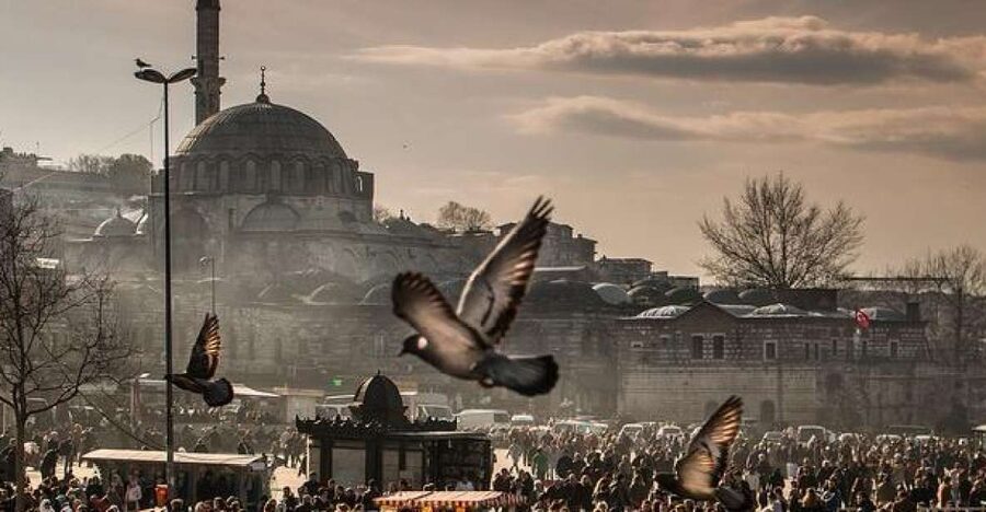 Istanbul: Private Full-Day Old City Highlights Tour - Topkapi Palace: Ottoman Power, Told in a Way You Can Follow