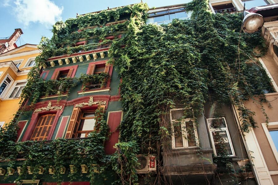 Istanbul: Private Guided Food Tour with 10 Tastings - What the walking route feels like: Cihangir energy plus city highlights