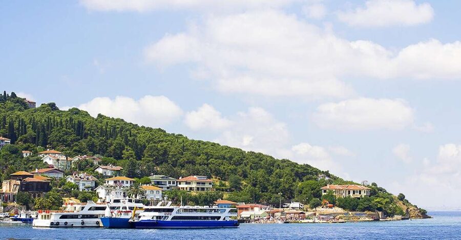 Istanbul: Round-Trip Ferry Tickets to the Princes' Islands - Merkez Eczanesi (1870 Pharmacy) and the Trotsky Villa Site