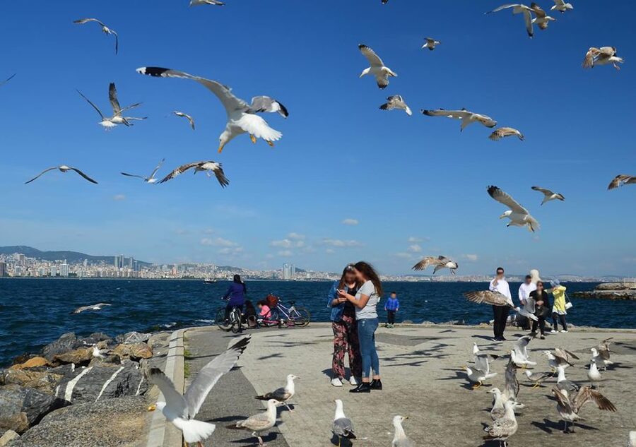Istanbul: Round-Trip Ferry Tickets to the Princes' Islands - St George Church on the Tallest Hill: Views That Justify the Climb
