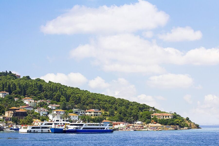 Istanbul: Round-Trip Ferry Tickets to the Princes' Islands - Ferry Times That Keep Your Day on Track