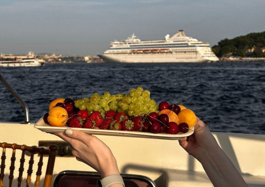 Istanbul: Small-Group Luxury Yacht Sunset Cruise w/ Snacks - Learning the sights: the audio guide app is your main “storyteller”