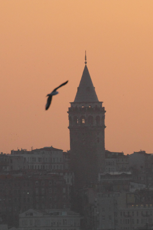 Private Guide in Istanbul Old City - Hippodrome: Where Public Life and Power Intersected