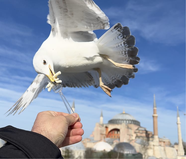 Private Guided Istanbul City Tour with Transfers - Pickup and Transfers, Plus How to Plan Your Time