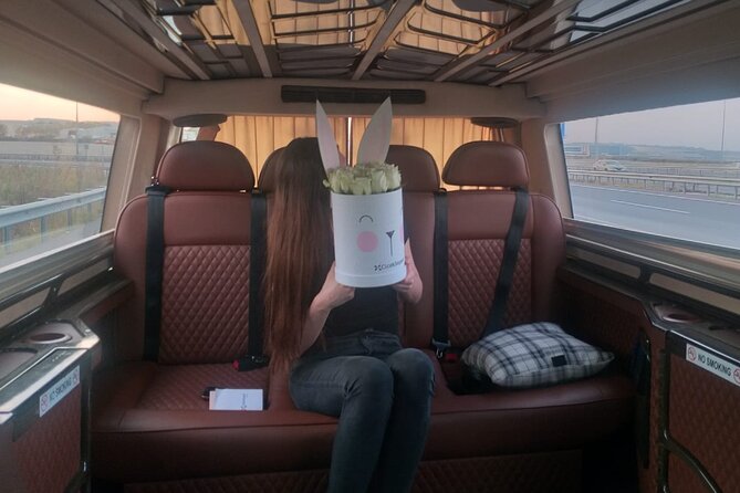 Private Istanbul Airport (IST) Transfer To/From City Center - Return Trips Need a Separate Reservation
