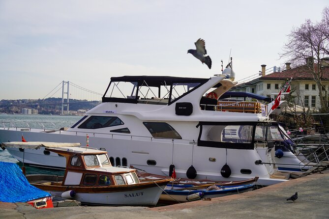 Private Yacht Cruise on Bosphorus - Onboard comfort: lemonade, tea, coffee, snacks, and WiFi