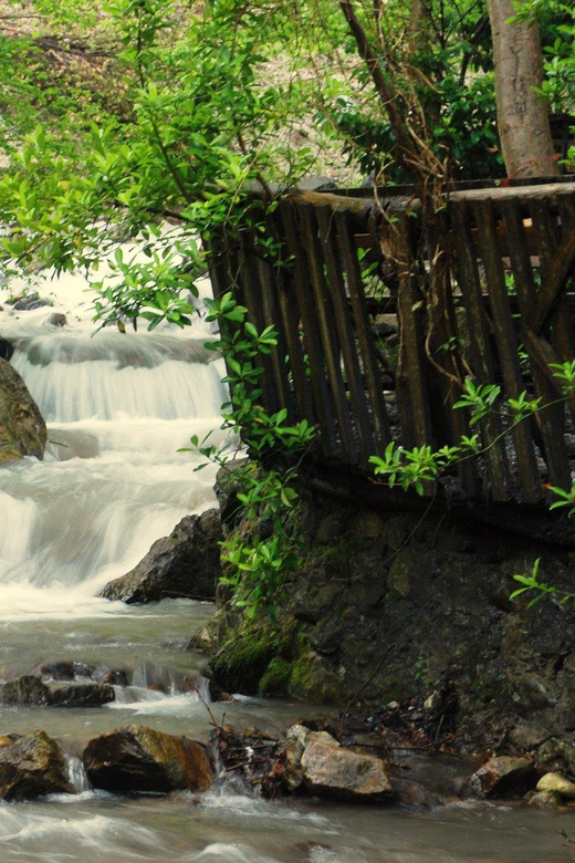 Sapanca Maşukiye tour from Istanbul - Sakarya Province guided time: what the guide adds (and what to plan for)