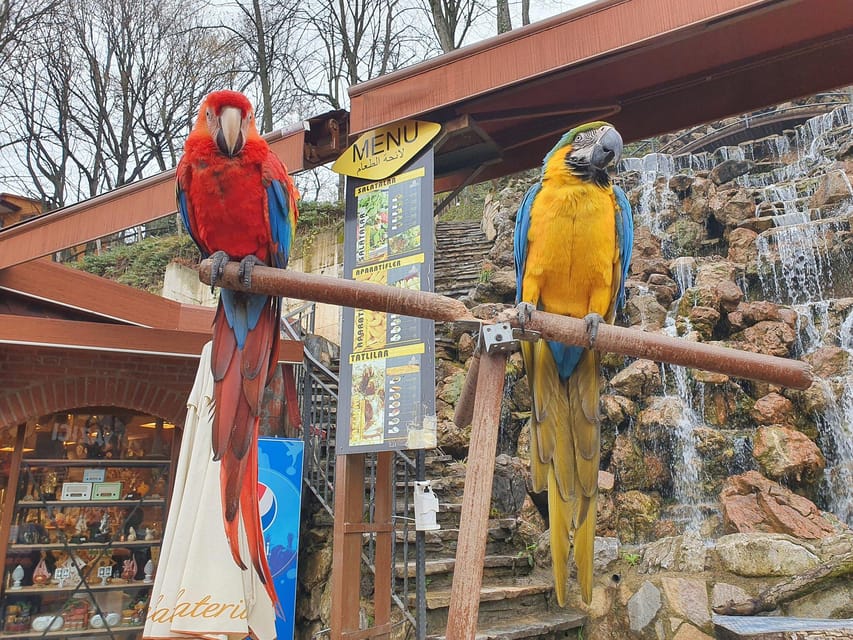 Sapanca Maşukiye tour from Istanbul - Lunch break: the one moment that can feel genuinely good