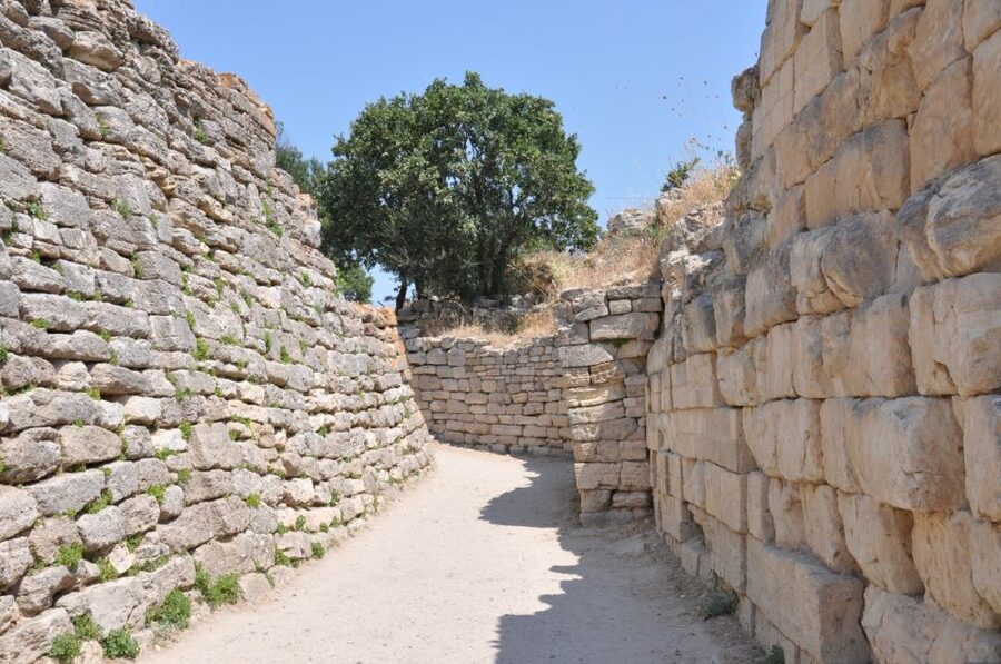 Troy: Full-Day Tour from Istanbul - Price and value: what $169 buys for an 18-hour day