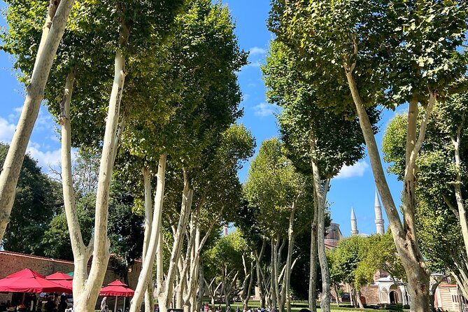 WONDERS of ISTANBUL: PRIVATE Full-Day Guided City Tour - Topkapi Palace: Getting the Most from Two Hours (and Knowing the Tuesday Trap)
