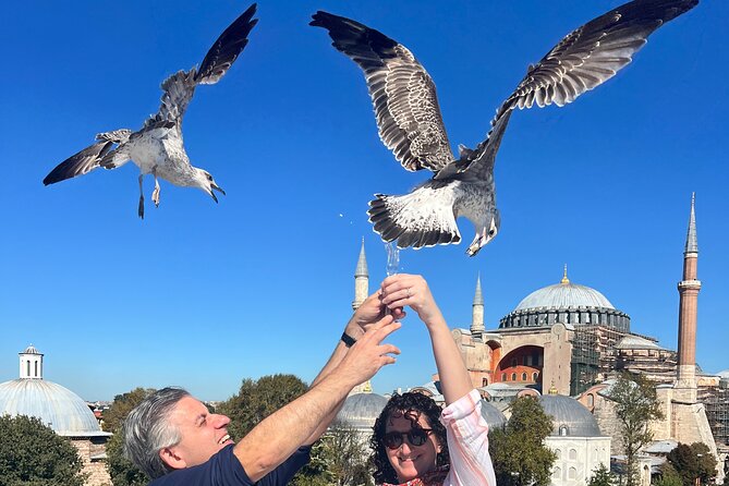 WONDERS of ISTANBUL: PRIVATE Full-Day Guided City Tour - Hagia Sophia Grand Mosque: What You Can Actually Absorb in 45 Minutes